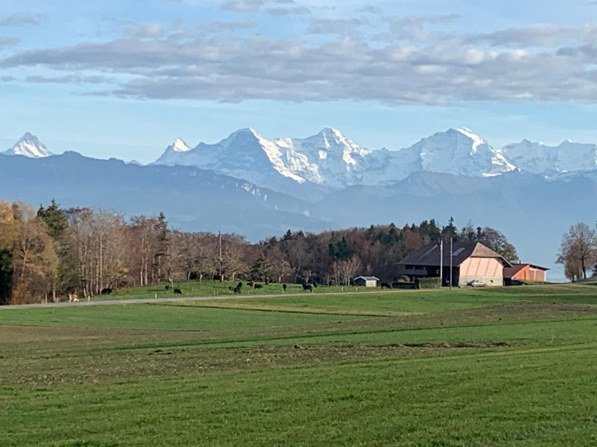 Mountain Home - Ein Aufenthalt Mit Weitblick Niedermuhlern 外观 照片